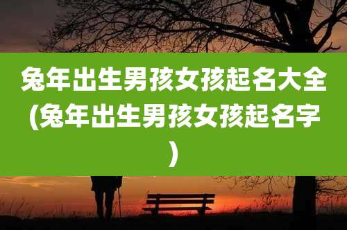 兔年出生男孩女孩起名大全(兔年出生男孩女孩起名字)