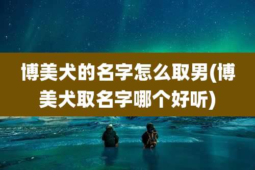 博美犬的名字怎么取男(博美犬取名字哪个好听)