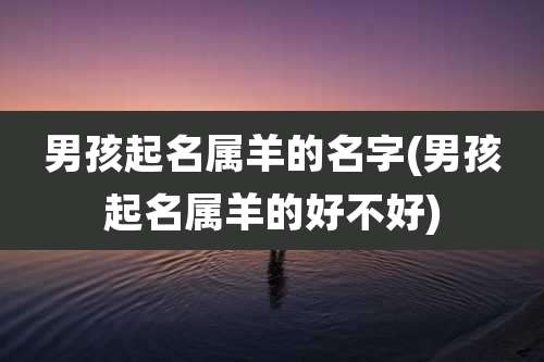 男孩起名属羊的名字(男孩起名属羊的好不好)