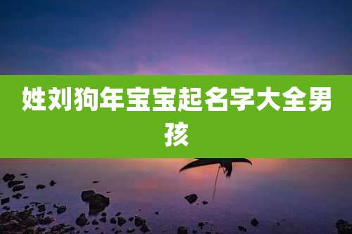 姓刘狗年宝宝起名字大全男孩