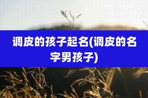 调皮的孩子起名(调皮的名字男孩子)