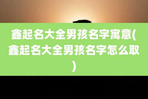 鑫起名大全男孩名字寓意(鑫起名大全男孩名字怎么取)