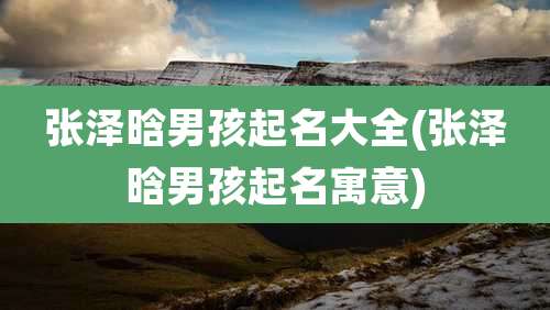 张泽晗男孩起名大全(张泽晗男孩起名寓意)