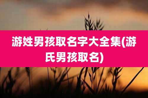 游姓男孩取名字大全集(游氏男孩取名)