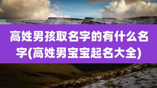 高姓男孩取名字的有什么名字(高姓男宝宝起名大全)