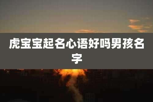 虎宝宝起名心语好吗男孩名字