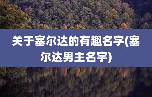 关于塞尔达的有趣名字(塞尔达男主名字)