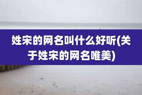 姓宋的网名叫什么好听(关于姓宋的网名唯美)