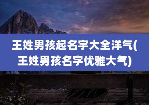 王姓男孩起名字大全洋气(王姓男孩名字优雅大气)