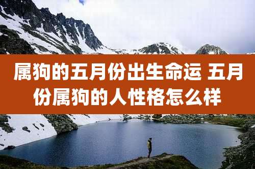 属狗的五月份出生命运 五月份属狗的人性格怎么样