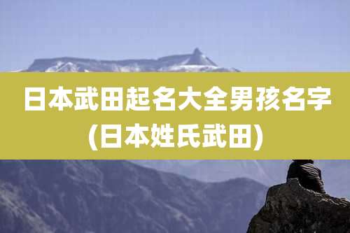 日本武田起名大全男孩名字(日本姓氏武田)