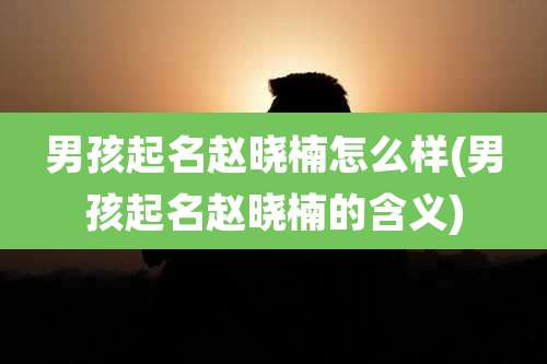 男孩起名赵晓楠怎么样(男孩起名赵晓楠的含义)