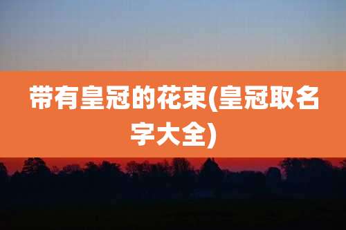 带有皇冠的花束(皇冠取名字大全)