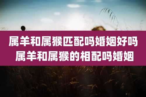 属羊和属猴匹配吗婚姻好吗 属羊和属猴的相配吗婚姻