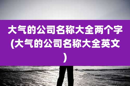 大气的公司名称大全两个字(大气的公司名称大全英文)