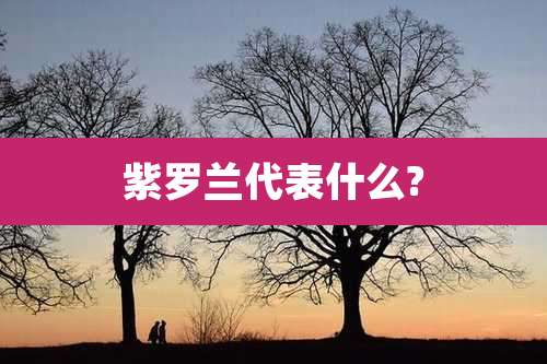 紫罗兰代表什么?