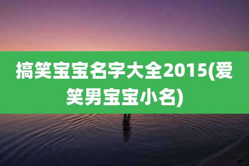 搞笑宝宝名字大全2015(爱笑男宝宝小名)