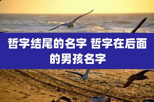 哲字结尾的名字 哲字在后面的男孩名字