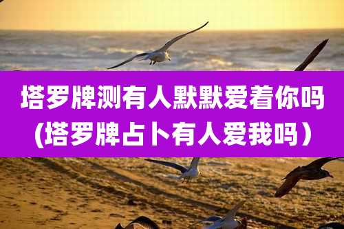 塔罗牌测有人默默爱着你吗(塔罗牌占卜有人爱我吗)