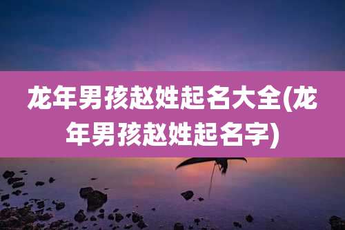龙年男孩赵姓起名大全(龙年男孩赵姓起名字)
