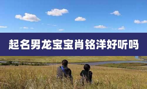 起名男龙宝宝肖铭洋好听吗
