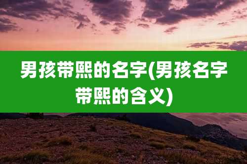 男孩带熙的名字(男孩名字带熙的含义)