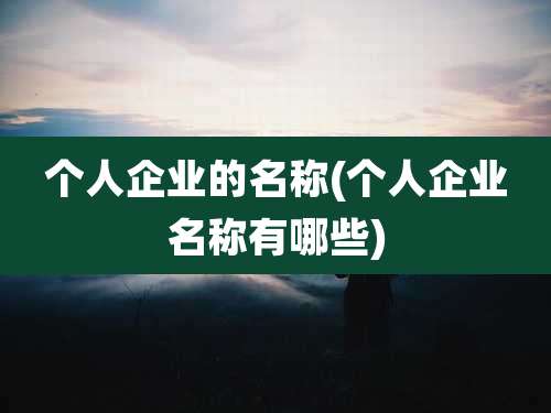个人企业的名称(个人企业名称有哪些)