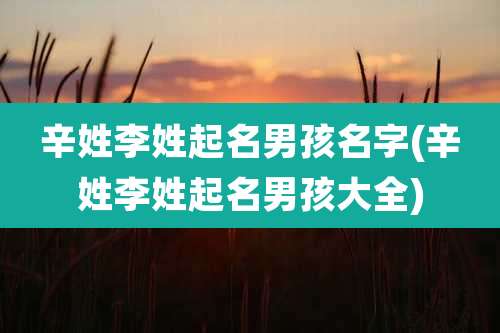 辛姓李姓起名男孩名字(辛姓李姓起名男孩大全)