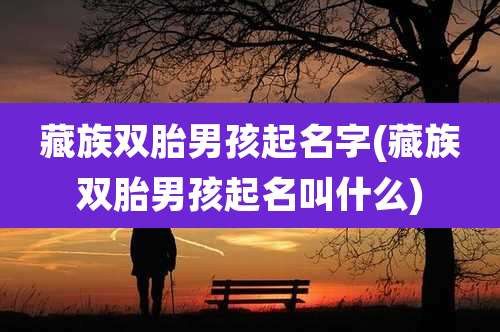 藏族双胎男孩起名字(藏族双胎男孩起名叫什么)