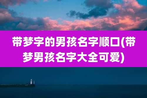 带梦字的男孩名字顺口(带梦男孩名字大全可爱)