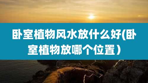 卧室植物风水放什么好(卧室植物放哪个位置）