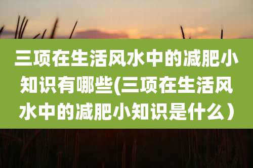 三项在生活风水中的减肥小知识有哪些(三项在生活风水中的减肥小知识是什么)