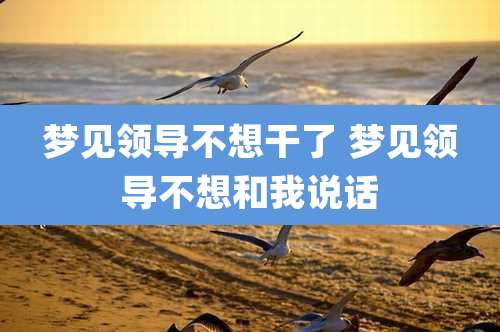 梦见领导不想干了 梦见领导不想和我说话