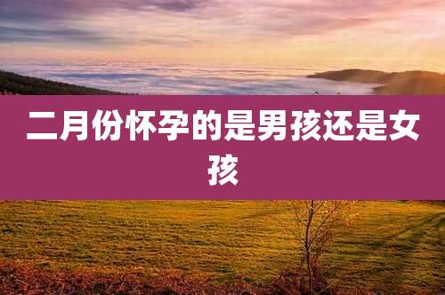 二月份怀孕的是男孩还是女孩
