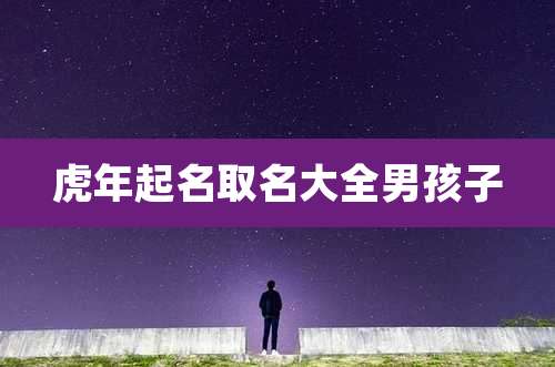 虎年起名取名大全男孩子
