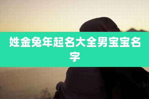 姓金兔年起名大全男宝宝名字