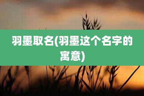 羽墨取名(羽墨这个名字的寓意)