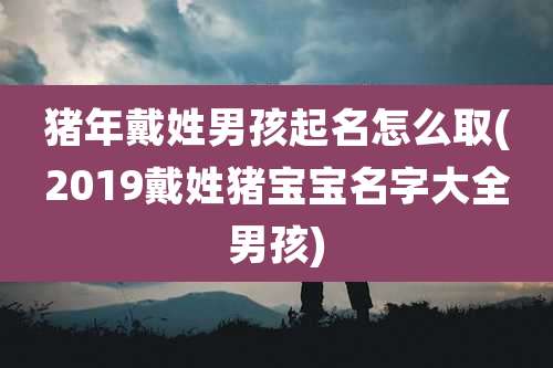 猪年戴姓男孩起名怎么取(2019戴姓猪宝宝名字大全男孩)