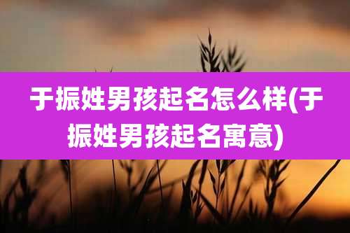 于振姓男孩起名怎么样(于振姓男孩起名寓意)