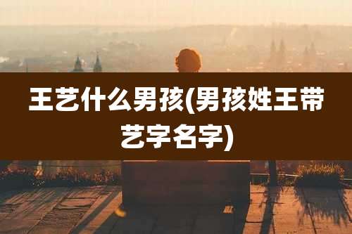 王艺什么男孩(男孩姓王带艺字名字)