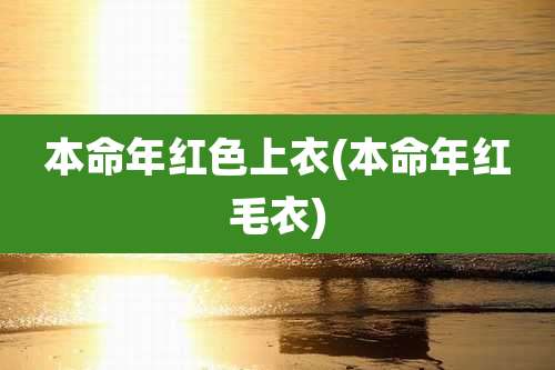 本命年红色上衣(本命年红毛衣)