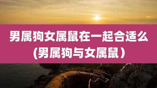 男属狗女属鼠在一起合适么(男属狗与女属鼠）