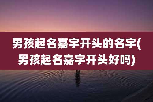 男孩起名嘉字开头的名字(男孩起名嘉字开头好吗)