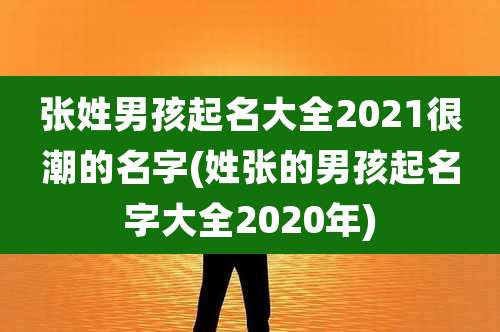 张姓男孩起名大全2021很潮的名字(姓张的男孩起名字大全2020年)