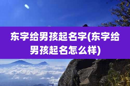 东字给男孩起名字(东字给男孩起名怎么样)