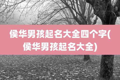 侯华男孩起名大全四个字(侯华男孩起名大全)