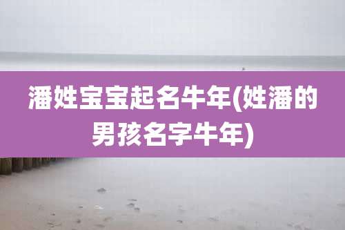 潘姓宝宝起名牛年(姓潘的男孩名字牛年)