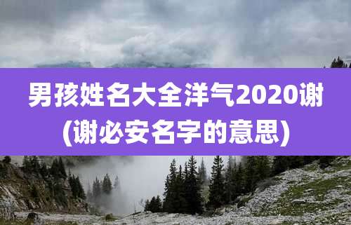 男孩姓名大全洋气2020谢(谢必安名字的意思)