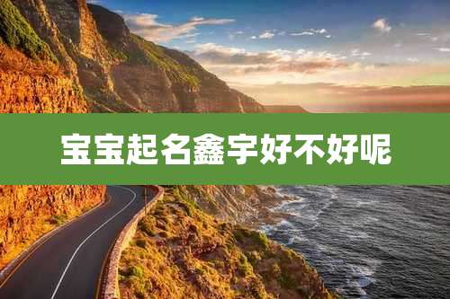 宝宝起名鑫宇好不好呢