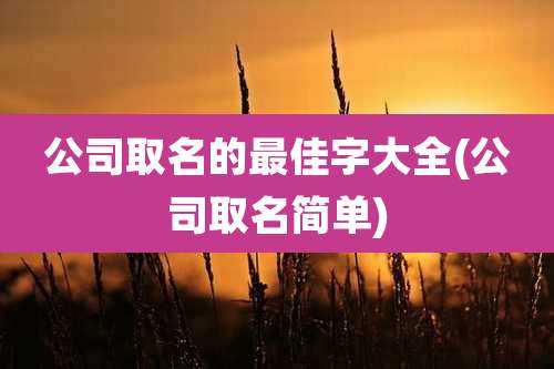 公司取名的最佳字大全(公司取名简单)